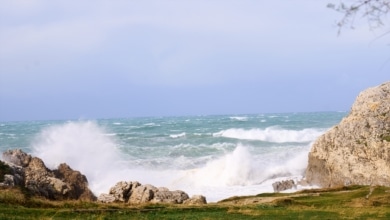 Viento causa caos: 16 incidencias atendidas por 112 en Cantabria