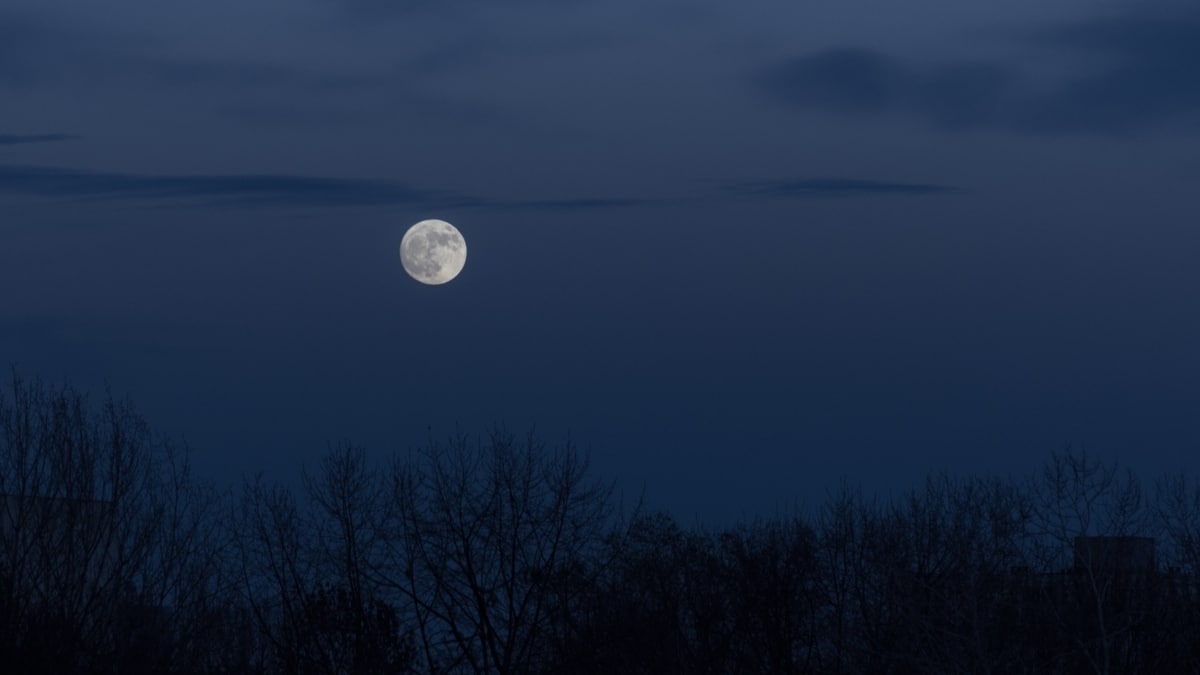 Calendario lunar febrero 2025: ¿Cuándo habrá luna llena?