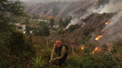 California lucha contra los incendios con presos a los que paga diez dólares al día