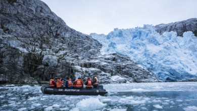 Aventura, exploración y ciencia a bordo de un crucero por Patagonia