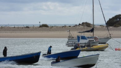 Las 'narcogasolineras' crecen en el Sur: "La alarma social es grande, el problema va en aumento"