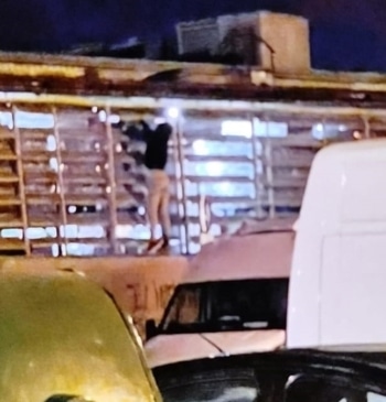 Joven detenido por escalar muro de centro comercial para robar