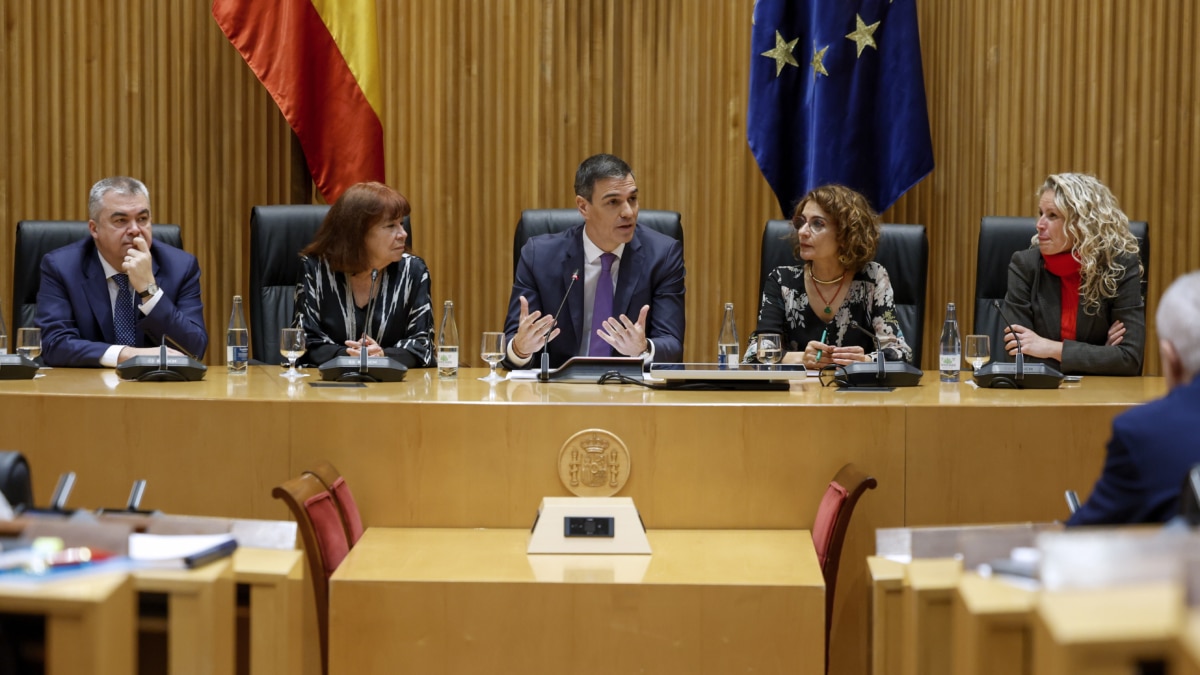 MADRID, 11/02/2025.-El presidente del Gobierno y secretario general del PSOE, Pedro Sánchez (c), interviene en la reunión de los grupos parlamentarios en el Congreso y el Senado para analizar el nuevo periodo de sesiones ordinarias que arranca esta semana en sendas cámaras, este martes en el Congreso de los Diputados.-EFE/Mariscal