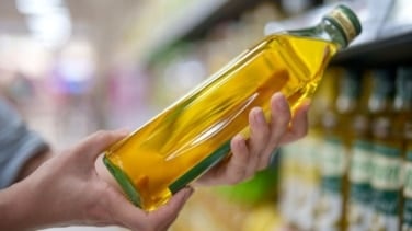 Piden que se investigue la bajada del precio del aceite de oliva