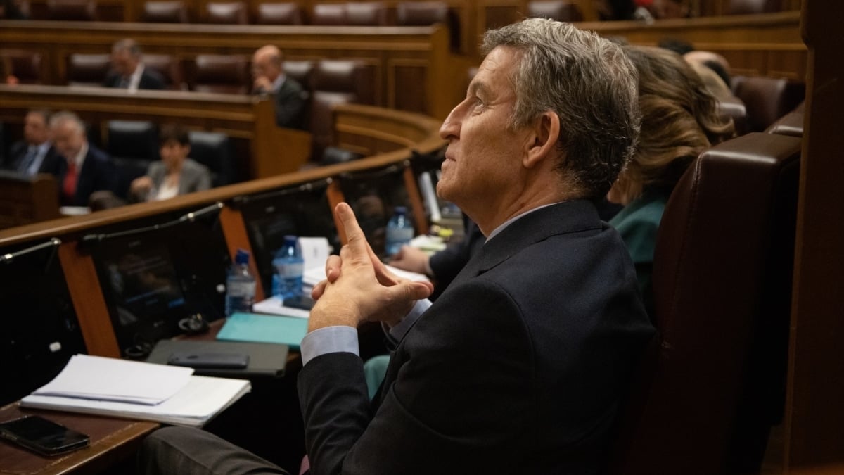 Alberto Núñez Feijóo, presidente del PP, durante la sesión de control al Gobierno, este miércoles