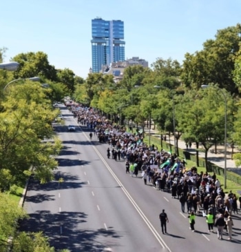 Mantienen la convocatoria de una nueva manifestación para reclamar la 'pasarela RETA'