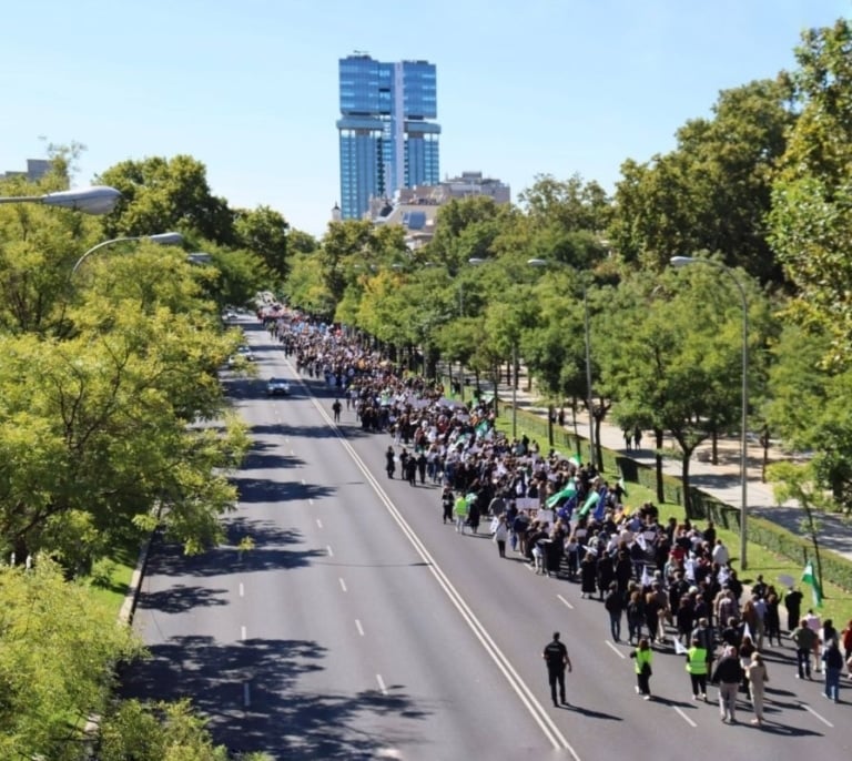 Mantienen la convocatoria de una nueva manifestación para reclamar la 'pasarela RETA'