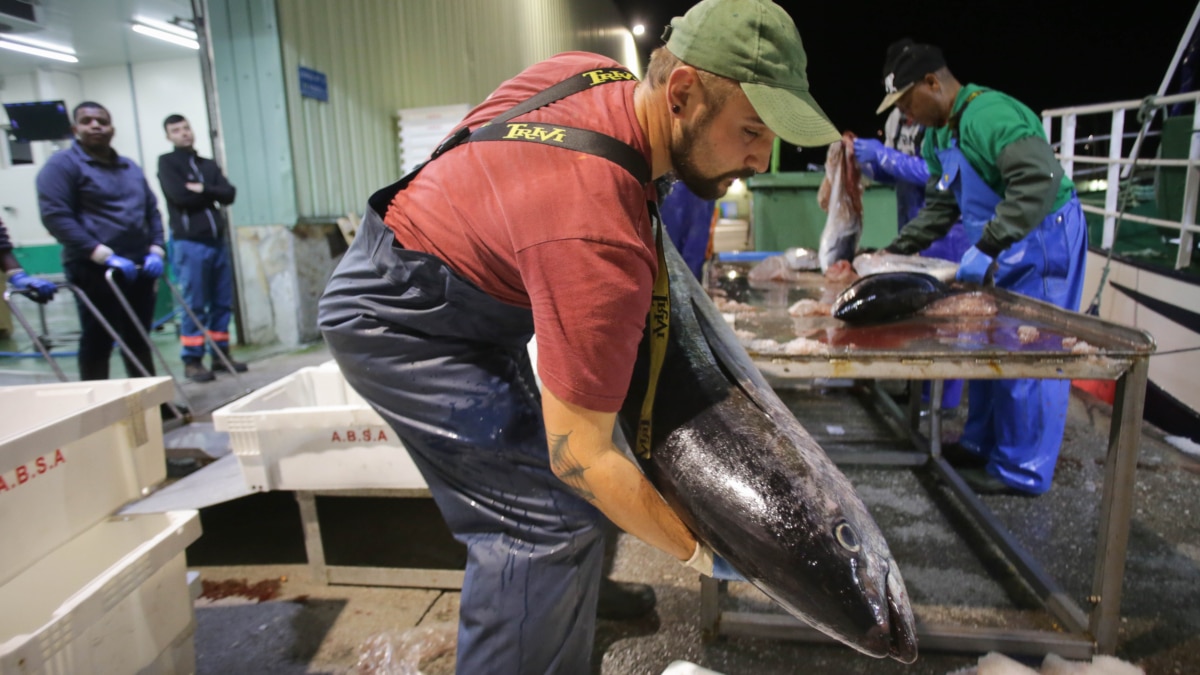 Alerta alimentaria "grave" por dos variedades de pescado de España