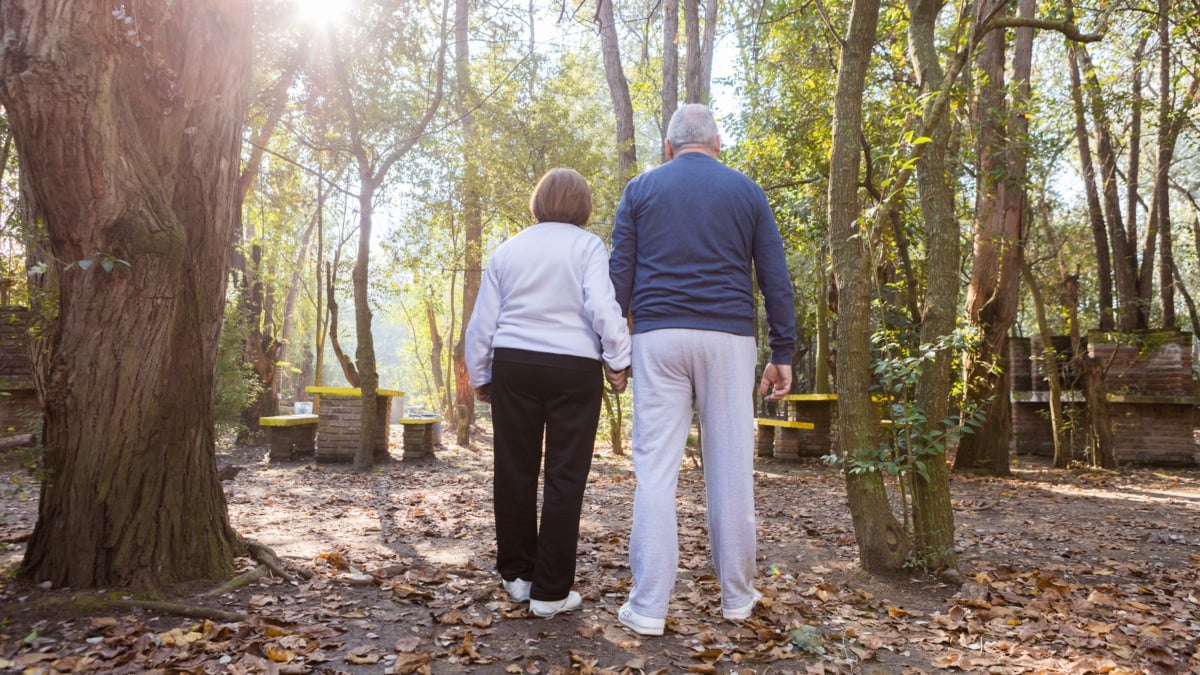 Conoce cuáles son las condiciones para cobrar el 100% de las pensiones