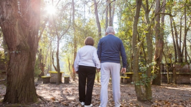 Conoce cuáles son las condiciones para cobrar el 100% de las pensiones