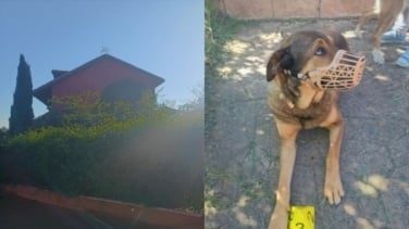 El inquiokupa fantasma que utiliza a sus perros para ocupar una vivienda en Valdepiélagos (Madrid)