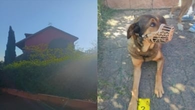 El inquiokupa fantasma que utiliza a sus perros para ocupar una vivienda en Valdepiélagos (Madrid)