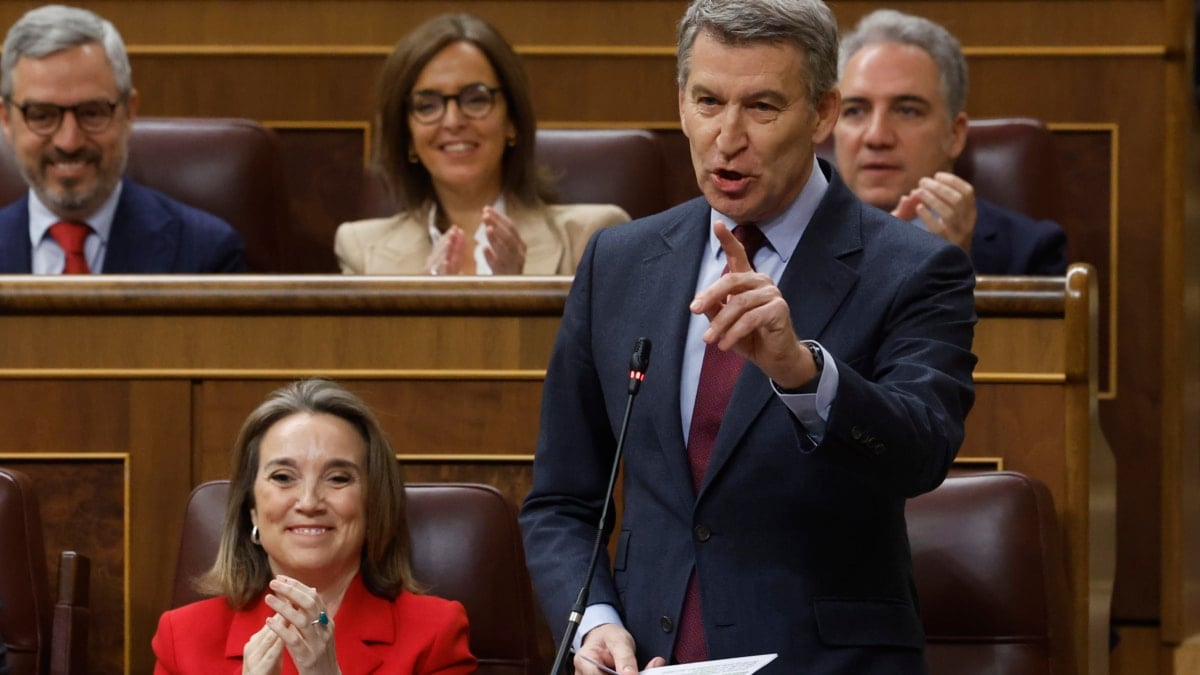 MADRID, 19/03/2025.- El líder del PP, Alberto Núñez - Feijóo, durante una de sus intervenciones en la sesión de control al Ejecutivo que tiene lugar este miércoles en el Congreso. EFE/ JUAN CARLOS HIDALGO