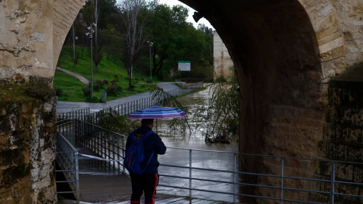 Un hombre con paraguas observa la pasarela peatonal, bajo el Puente Romano de Córdoba, que ha sido precintada este martes por la Policía Local ante la crecida experimentada por el río Guadalquivir.