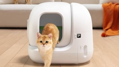 El arenero para gatos autolimpiable top ventas en Amazon ¡está de ofertón!