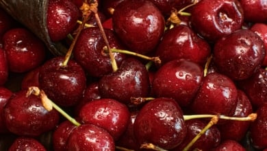 La D.O.P Cereza del Jerte aprueba tres nuevas especies de cereza