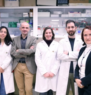 Investigadores del CEU descubren un mecanismo clave para prevenir problemas neurodegenerativos asociados [...]