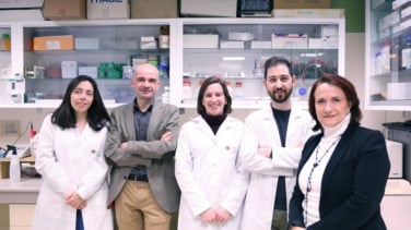 Investigadores del CEU descubren un mecanismo clave para prevenir problemas neurodegenerativos asociados a la obesidad