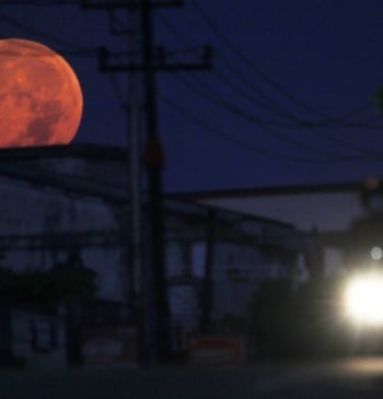 (Foto de ARCHIVO) Luna Rosa.