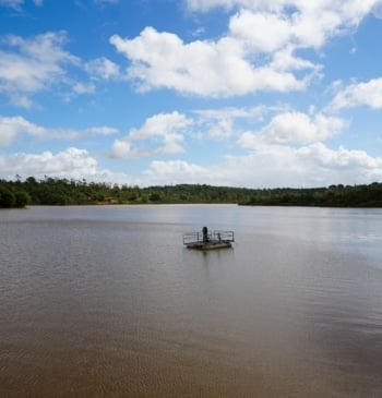 La lluvia eleva el nivel de los pantanos al 60,9%, casi cinco [...]