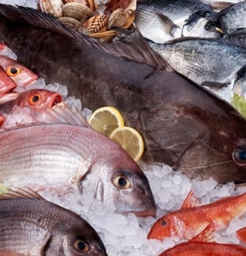 Nueva alerta de la OCU: los pescados que no debes comer por [...]