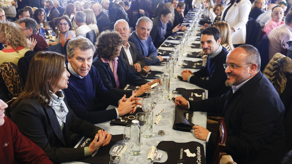 El líder del PP, Alberto Núñez Feijóo, junto al presidente del PP de Cataluña, Alejandro Fernández (d) participa en una calçotada en Valls (Tarragona), este domingo