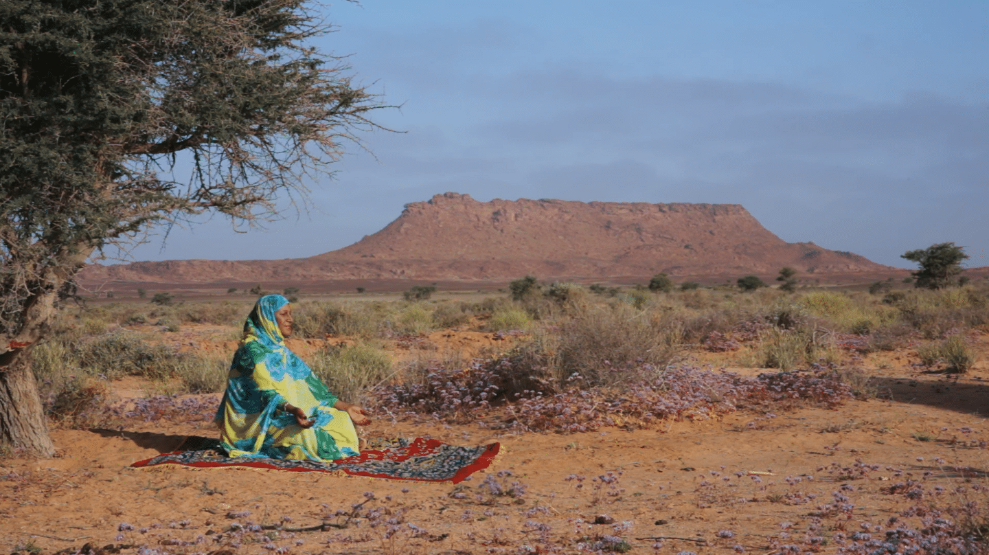 El testamento de Mariem Hassan, 'la voz del Sáhara'