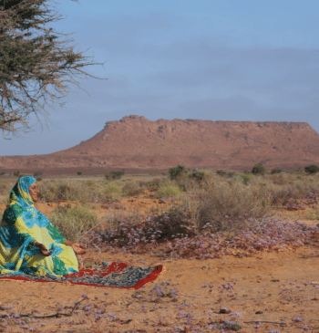 El testamento de Mariem Hassan, 'la voz del Sáhara'